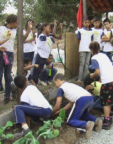 Memórias de Atividades da ONG Verde