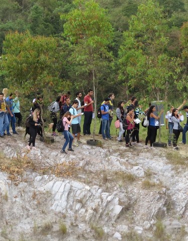 Memórias de Atividades da ONG Verde